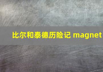 比尔和泰德历险记 magnet